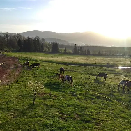 Blu Raj - W Sudetach Дом отдыха Глушица