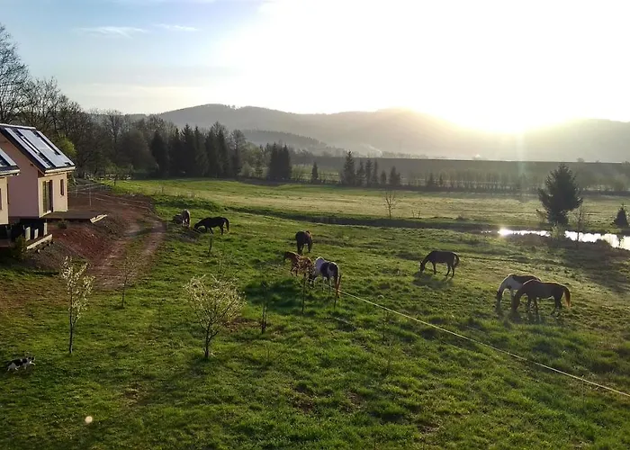 Blu Raj - W Sudetach Vakantiehuis Gluszyca